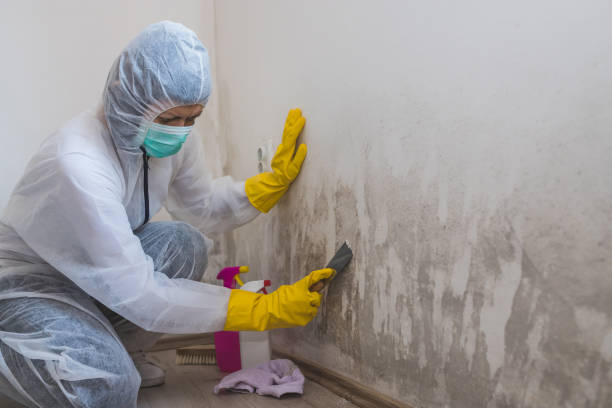 Best Mold Cleaning Services  in Coto De Za, CA