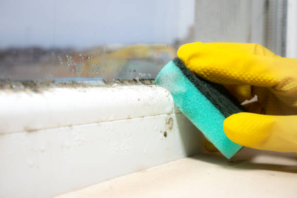 Best Mold Testing  in Coto De Za, CA