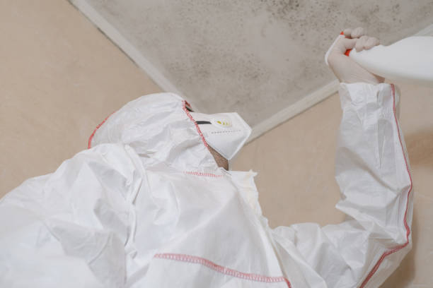 Water Damage Restoration in Coto De Caza, CA